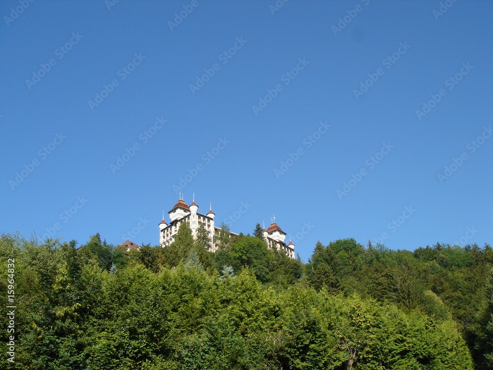 Obraz premium castle on a forest