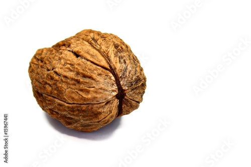 Alone walnut isolated