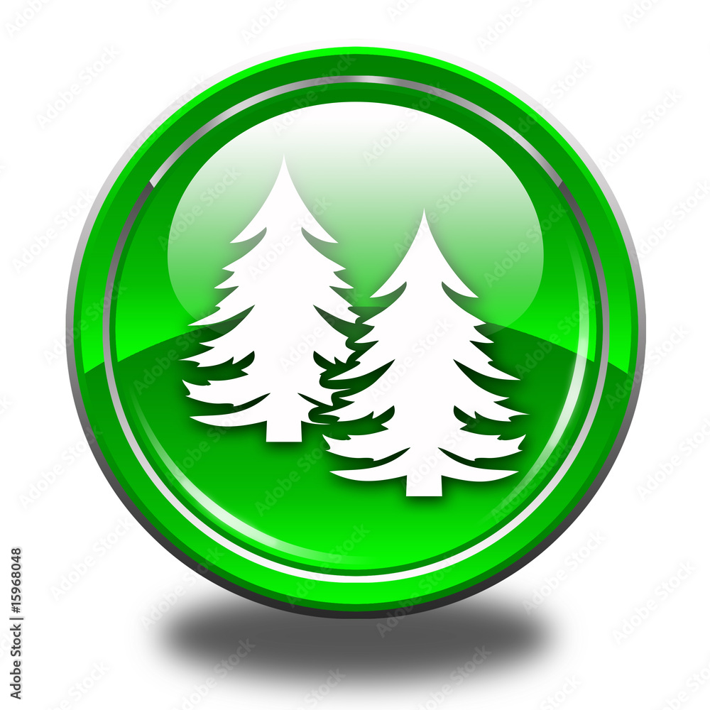 Forêt de Sapin Forêt de Sapin