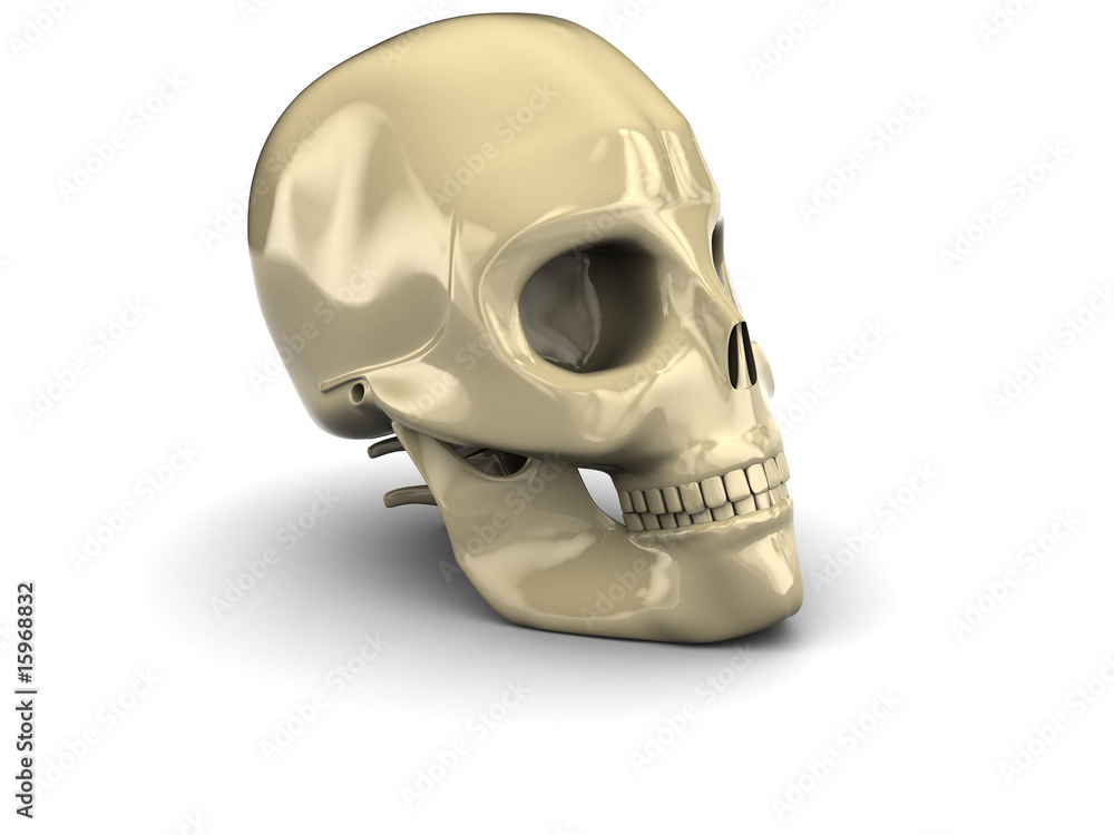 Obraz premium skull