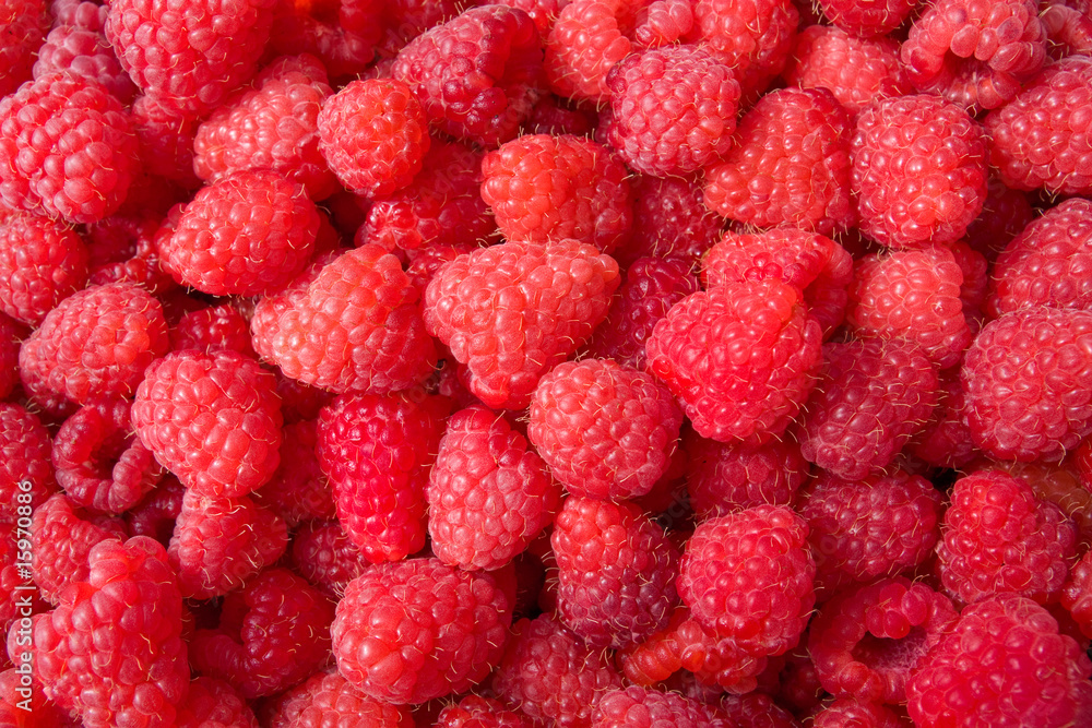 raspberries raspberries