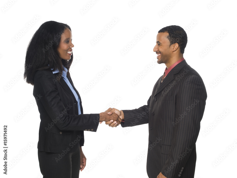 businesspeople - handshake greeting
