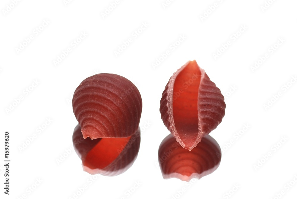 Fototapeta premium Isolated pasta reflected it's shape