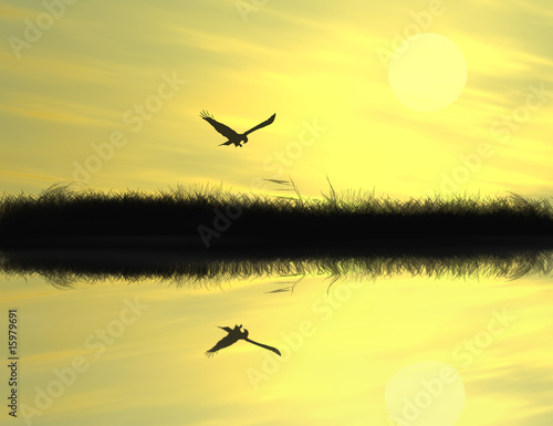 Reflected riparian tree and eagle in golden sunset photo