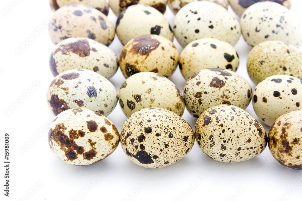 Quail eggs