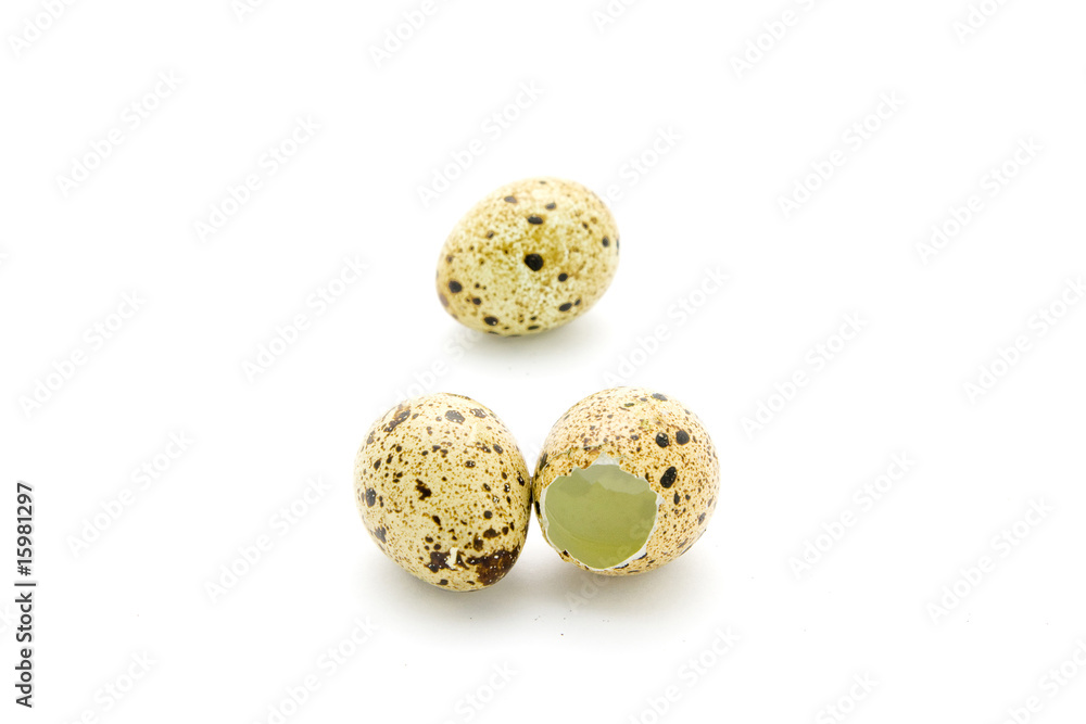 Quail eggs