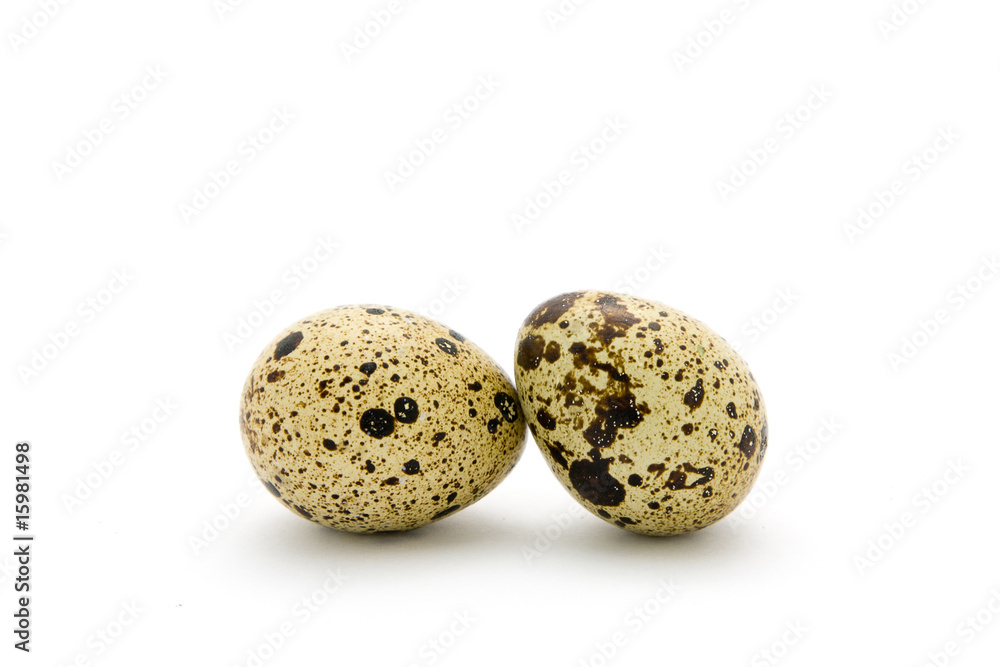 Quail eggs Quail eggs