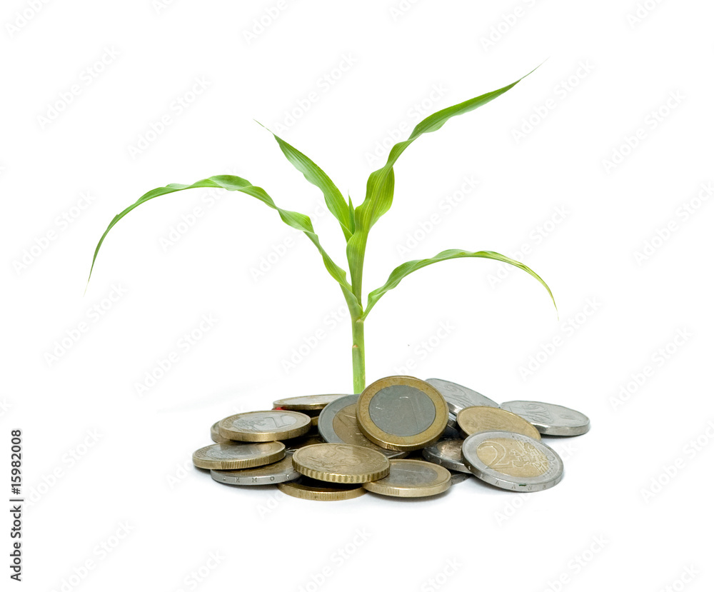 Corn growing from pile of coins Corn growing from pile of coins