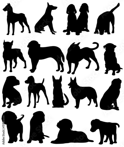 Hunde