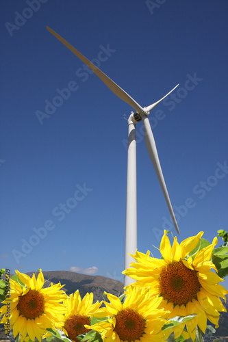 énergie propre - éolienne et environnement photo
