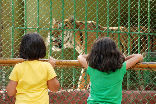 girls at zoo