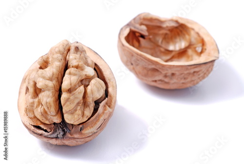 Walnut in nutshell photo