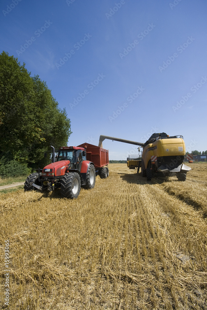 Fototapeta premium Traktor landwirtschaft ernte