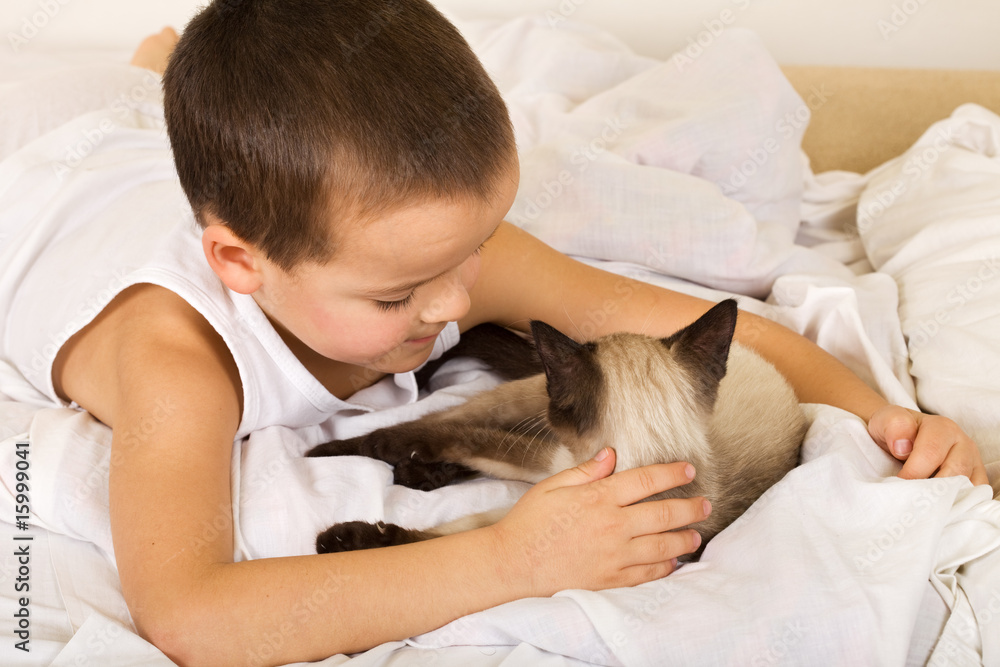 Little boy caressing his kitten in bed Little boy caressing his kitten in bed