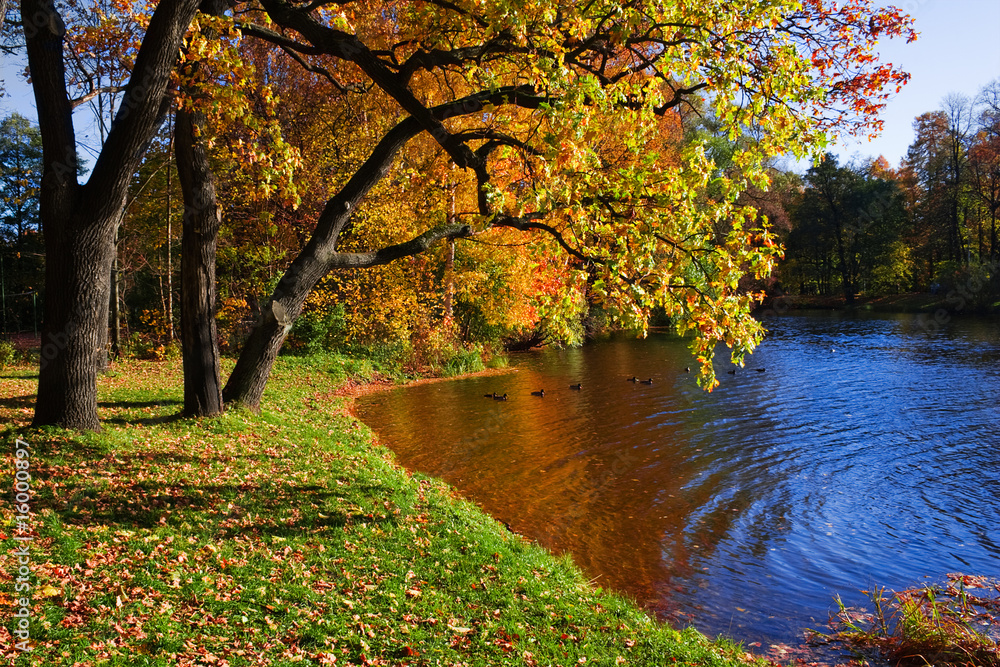 Фотография Indian summer-4
