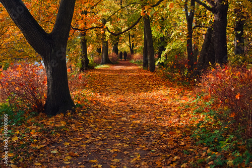 Indian summer-5