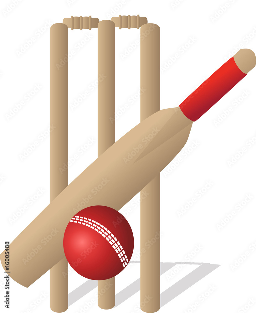 cricket set cricket set