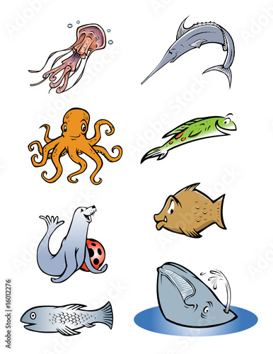 SEA LIFE COLLECTION