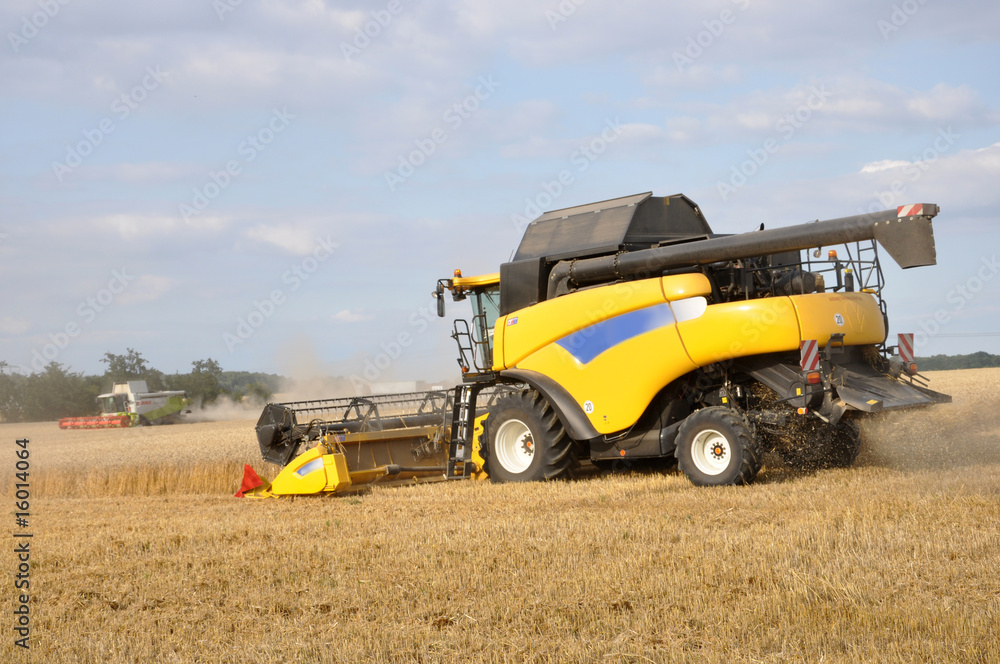 Obraz premium Viele Mähdrescher im Einsatz