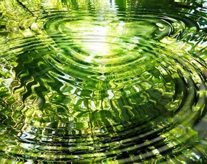 Ripples on water: reflection of bamboo forest