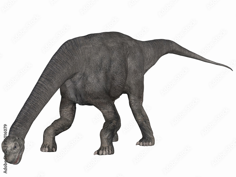 Fototapeta premium Camarasaurus-3D Dinosaurier