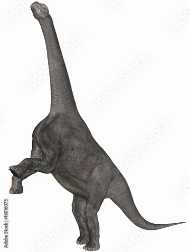 Camarasaurus-3D Dinosaurier © Andreas Meyer