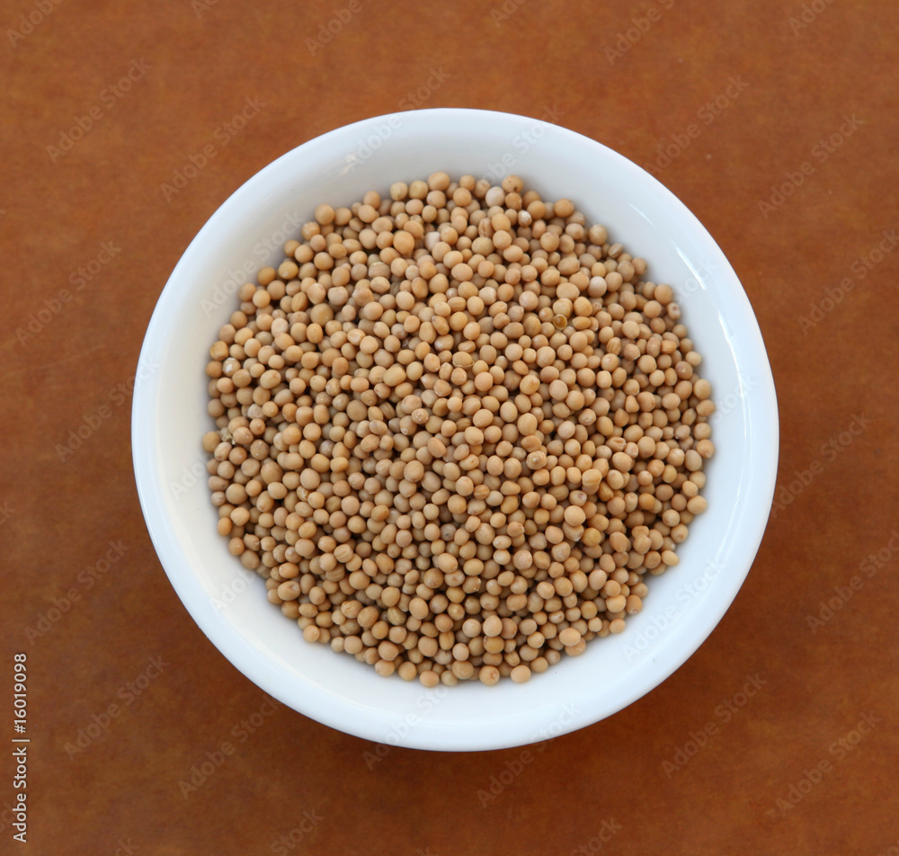 Mustard Seed Mustard Seed