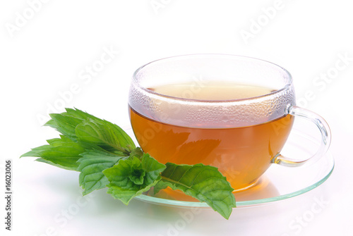 Tee Pfefferminze - tea Peppermint 06