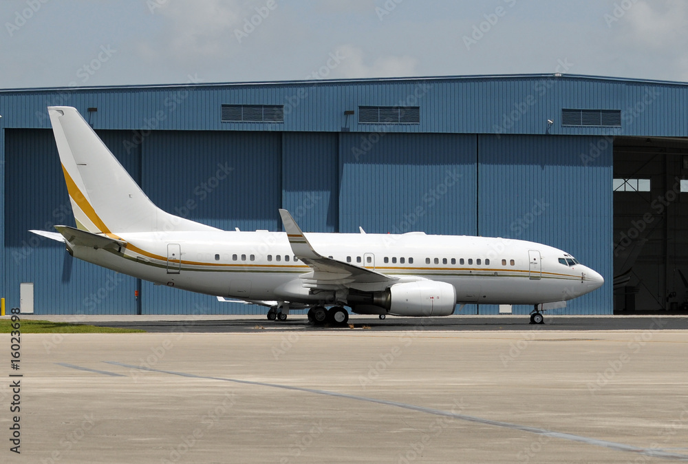 Naklejka premium Passenger jet airplane