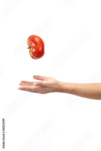 Cuadro en lienzo tomates