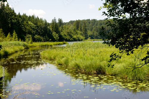 Hackensee