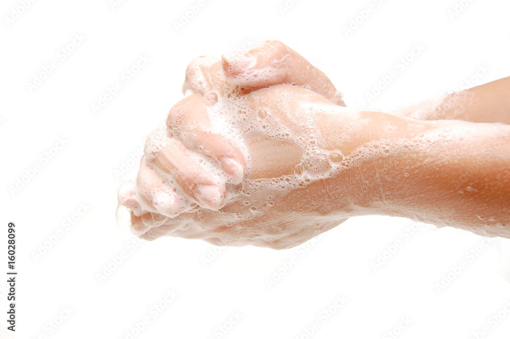 Female hands in soapsuds isolated on white Female hands in soapsuds isolated on white