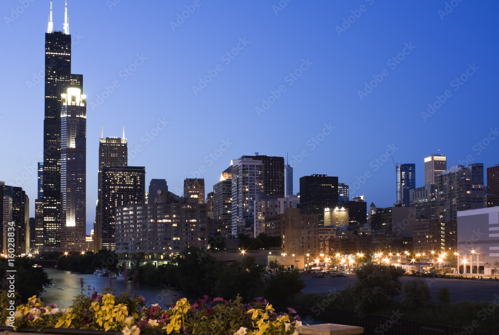 Fototapeta premium Evening in Chicago