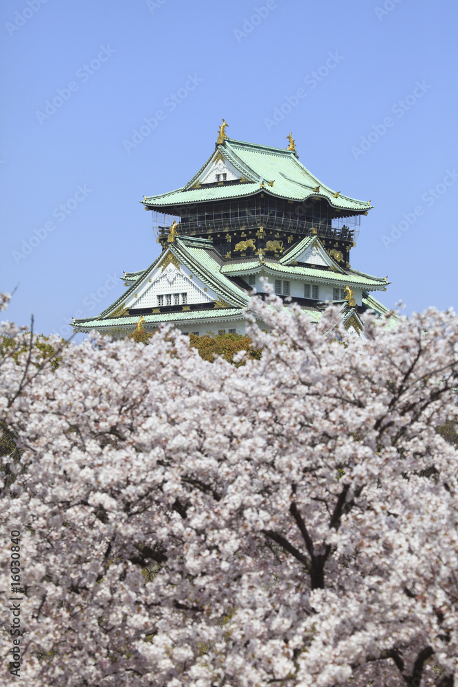 Fototapeta premium 大阪城