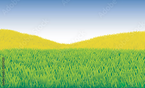 Landscape  with fields.