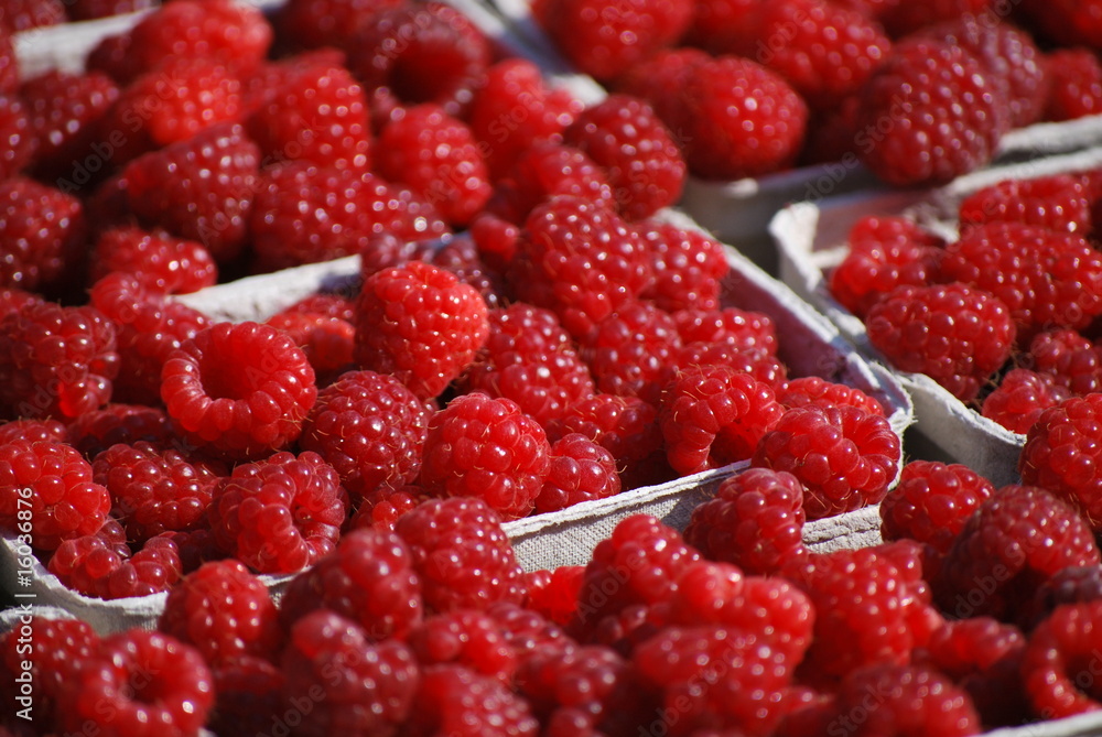 Himbeeren Himbeeren