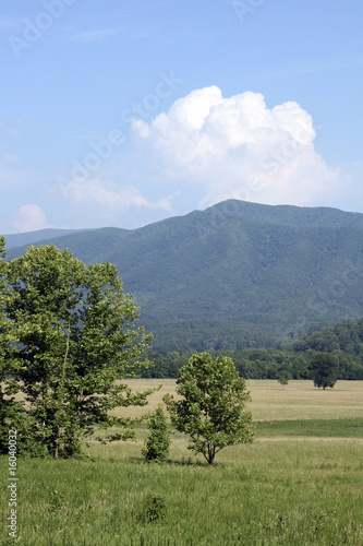 Mountains and trees