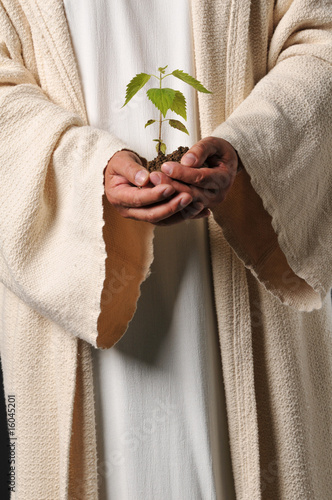 Obraz na plátně Jesus hands holding a plant