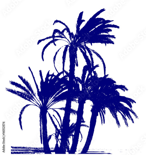 palms group / vector