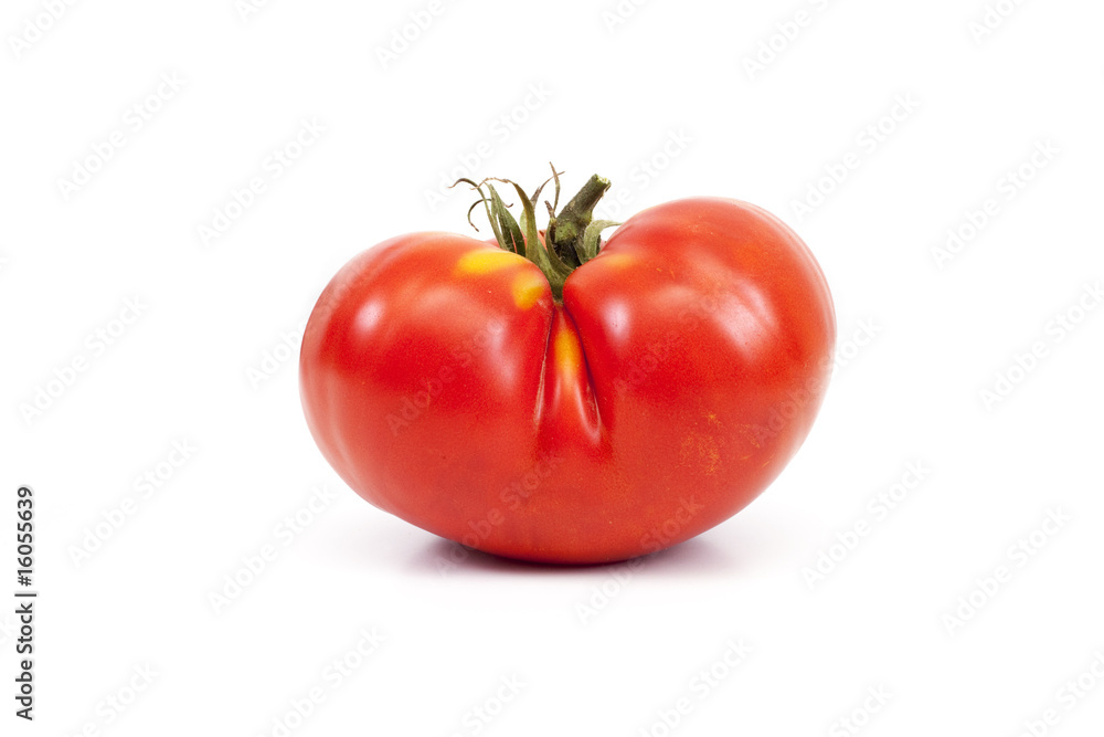 tomate tomate