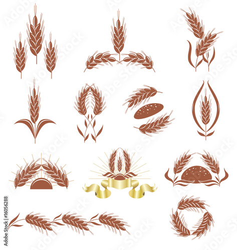 Grain ears.