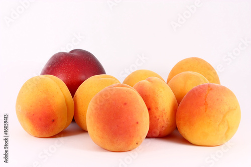 Apricots and nectarine