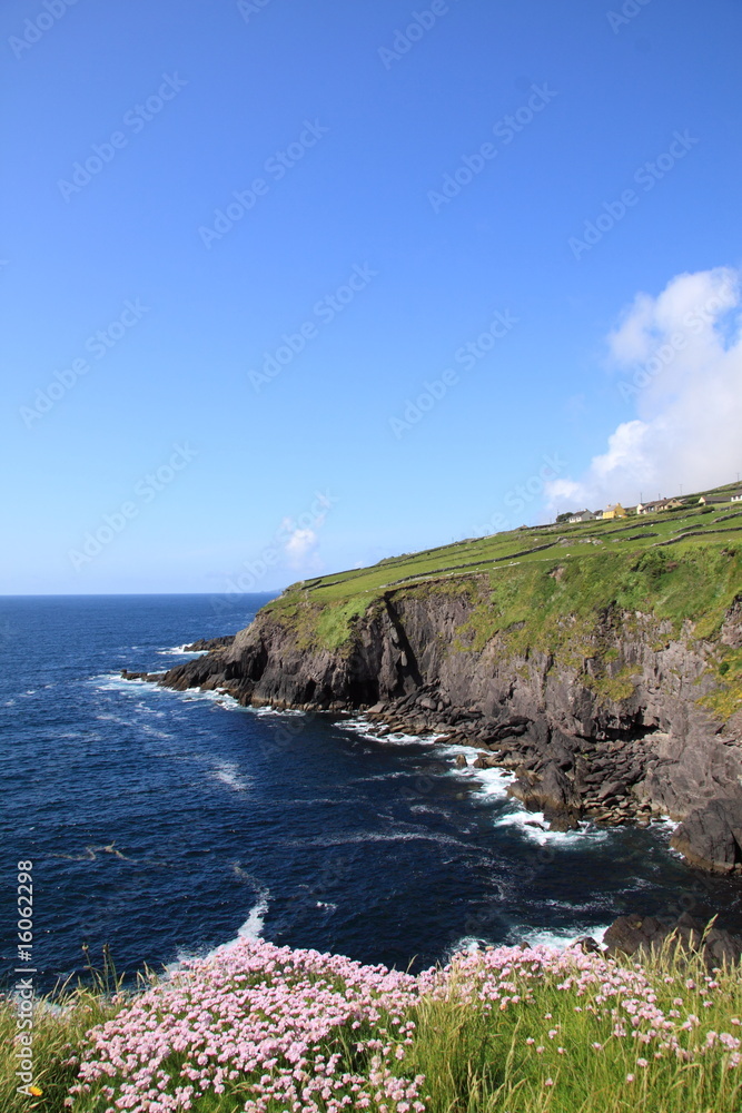 Coast of Ireland