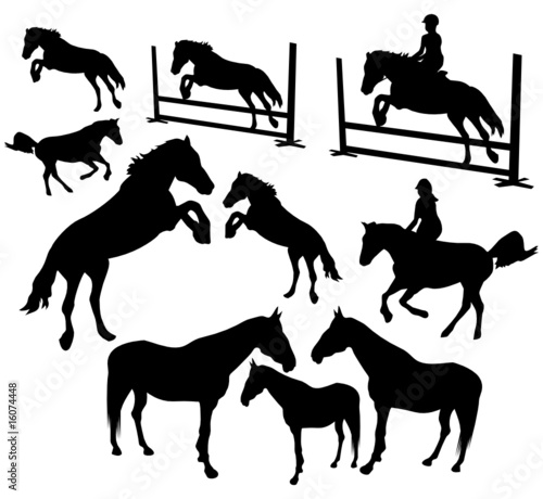 Horses silhouettes collection