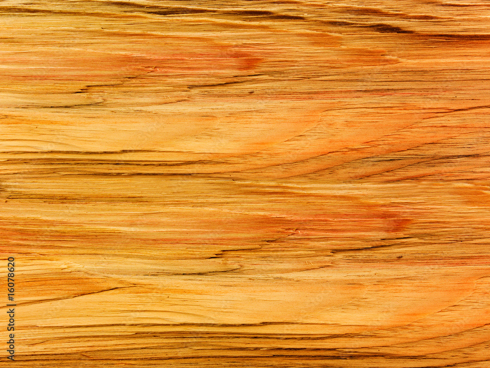 Tree an abstract background