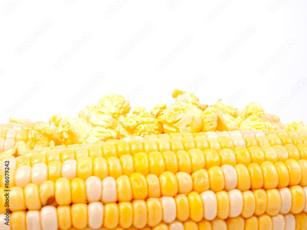 Corn in a cobs and popcorn