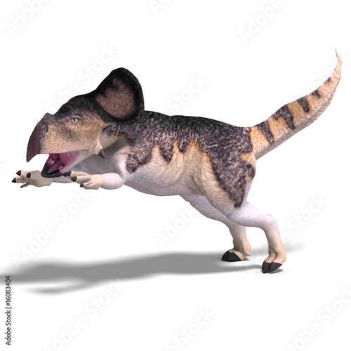 Dinosaur Protoceratops