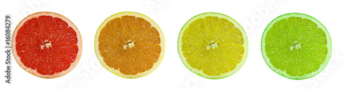 citricos 9