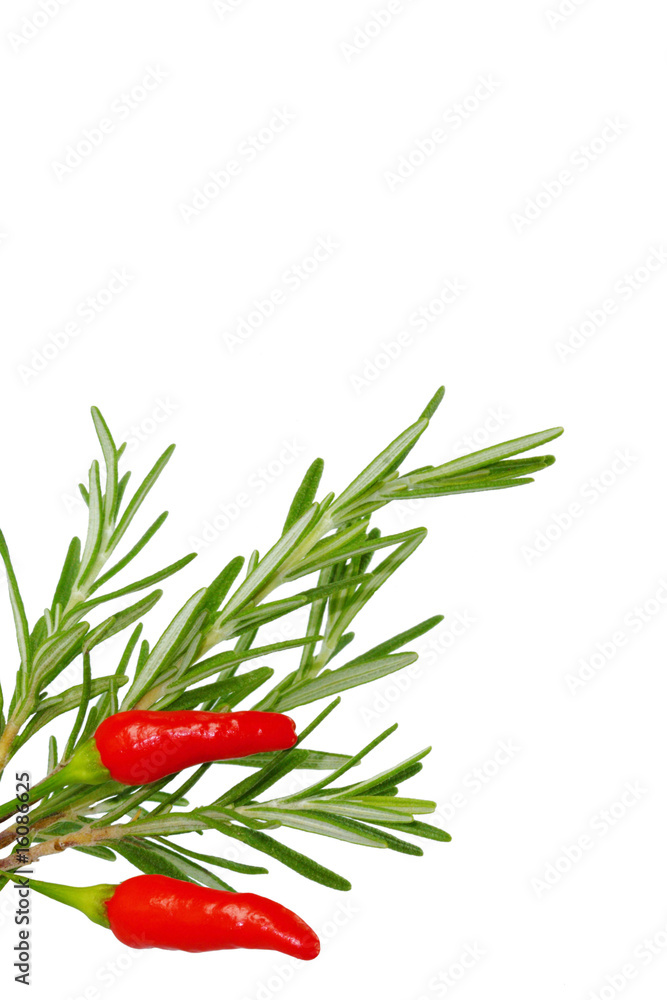 rosemary and chilli