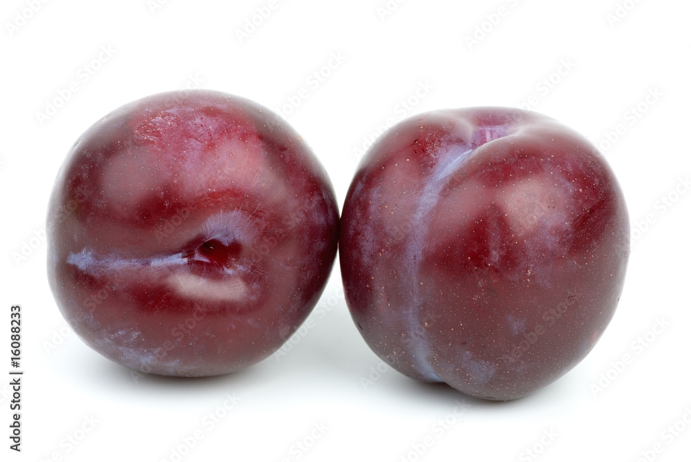 Two violet plums